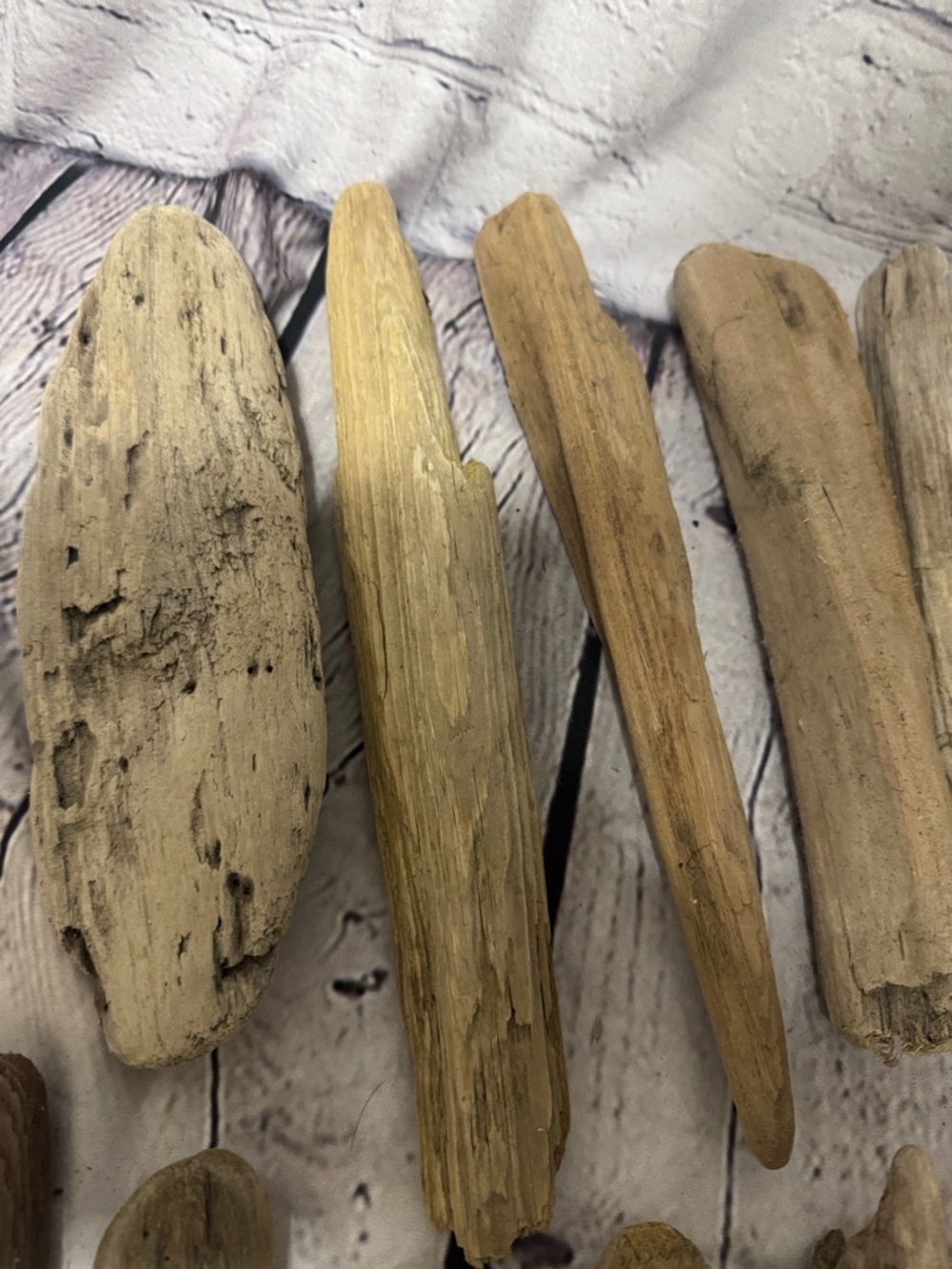 20 pieces PNW Pacific Ocean Grays Harbor Natural Driftwood Home Accent Bundle - Picture 14 of 17
